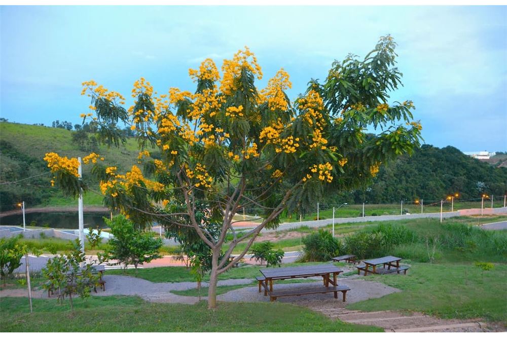 Condomínio Ecologie Residencial, São Paulo, Brasil