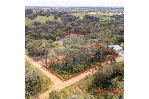 Venda-Terreno-Borda do Campo , 10  - Parque Aquatico Nogueira  - Borda do Campo , São José dos Pinhais , Paraná , 83075-970-560251029-43
