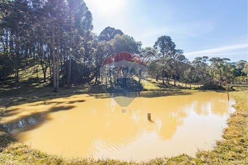 Venda-Chácara / Sítio / Fazenda-Estrada Morro do Cal , s/n  - Morro do Cal  - Salgadinho , Campo Largo , Paraná , 83649700-560351054-1