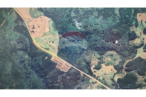 Venda-Terreno-Fazenda Serrinha , s/n  - Rodovia SC302  - Centro , Calmon , Santa Catarina , 89430000-560351054-12