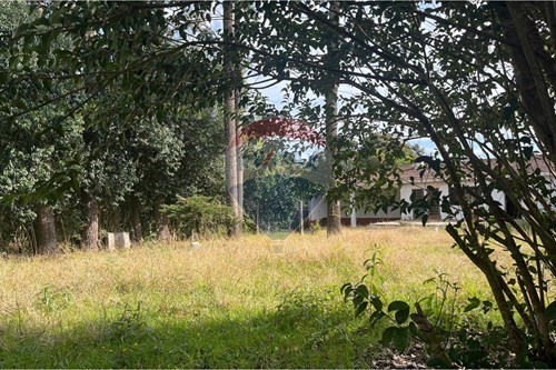 Venda-Terreno-Rua Miguel Zanon , 202  - São Dimas , Colombo , Paraná , 83411120-560411036-8