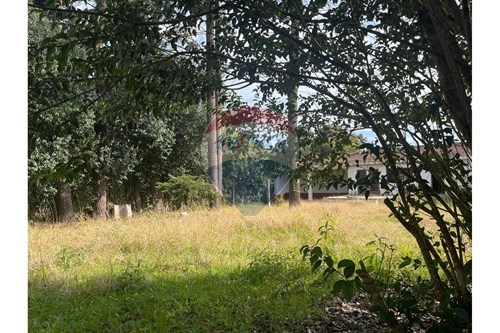 Slider Panorama Image Thumbnail