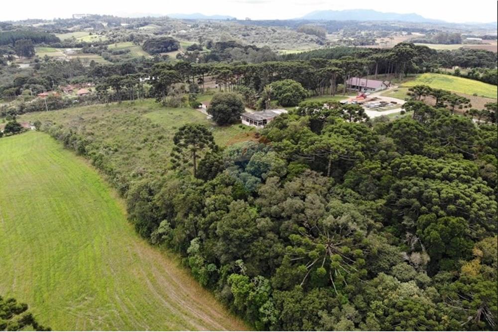 Terreno - Venda - São José dos Pinhais , Paraná - WhatsApp Image 2025-03-22 at 22.01.46 (3).jpeg - 560351069-39