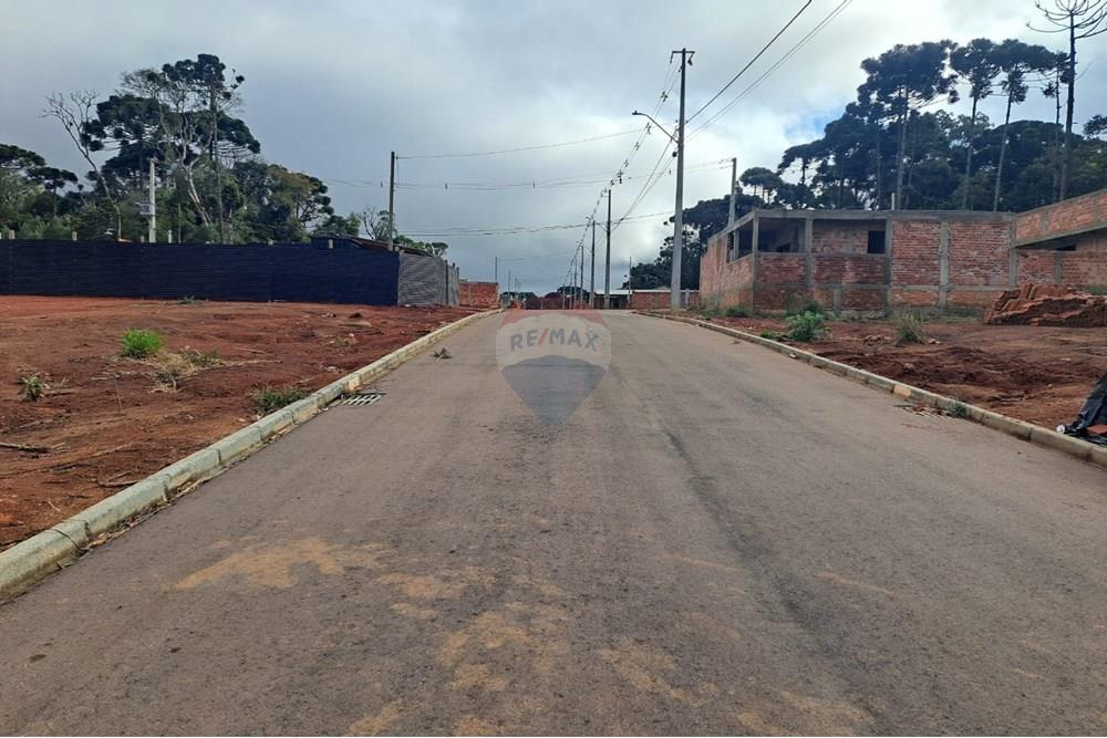 Terreno - Venda - Fazenda Rio Grande , Paraná - WhatsApp Image 2025-08-29 at 19.17.56 (2).jpeg - 560441032-9