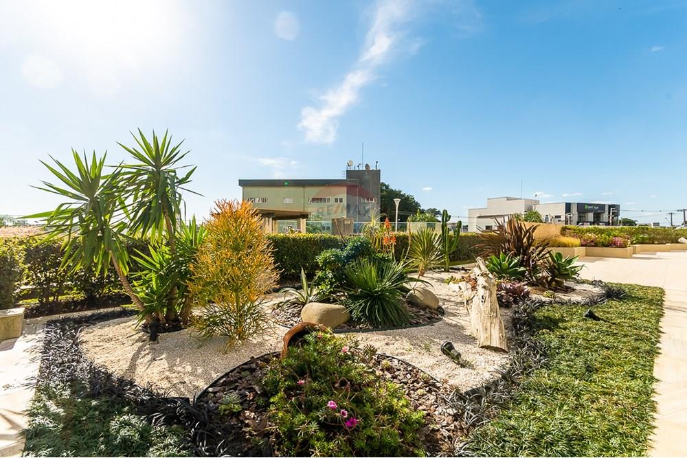 Apartamento - Alugar - Curitiba , Paraná - ProfPedroVPdeSouza-26.jpg - 560311047-543