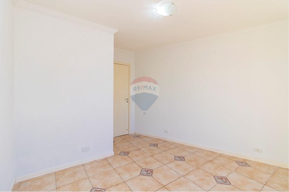 Casa Comercial - Alugar - São José dos Pinhais , Paraná - IMG_9241_1.jpg - 560351125-41