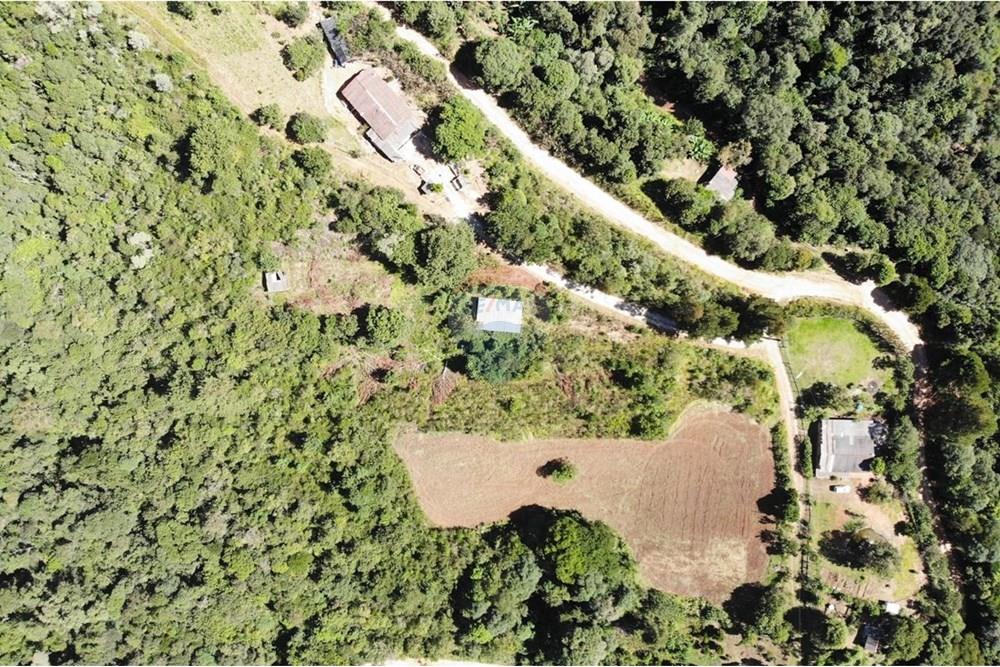 Chácara / Sítio / Fazenda - Venda - Campo Magro , Paraná - WhatsApp Image 2025-04-09 at 19.11.26.jpeg - 560351106-18