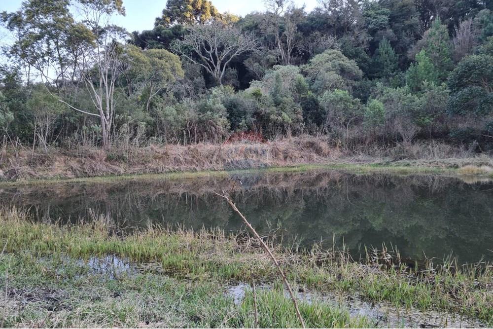 Chácara / Sítio / Fazenda - Venda - Mandirituba , Paraná - 2e892059-d7c9-46e2-898f-81722aa2cbf0.jpeg - 560391051-7