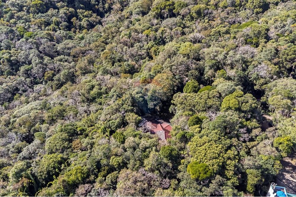 Chácara / Sítio / Fazenda - Venda - Piraquara , Paraná - DJI_0471_1.jpg - 560431012-39