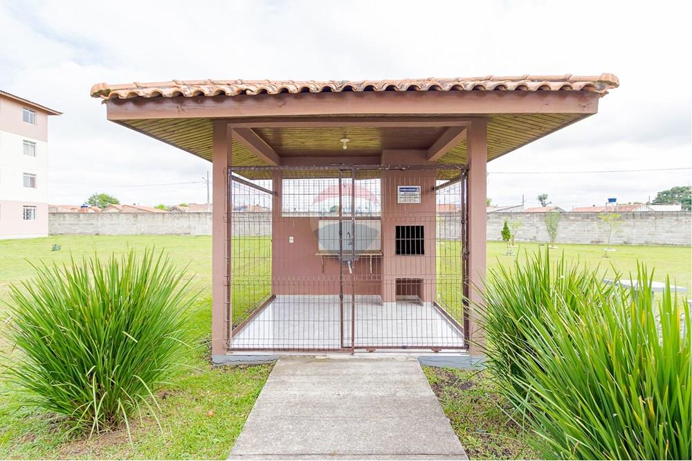 Apartamento - Venda - São José dos Pinhais , Paraná - IMG_2415.jpg - 560411027-25