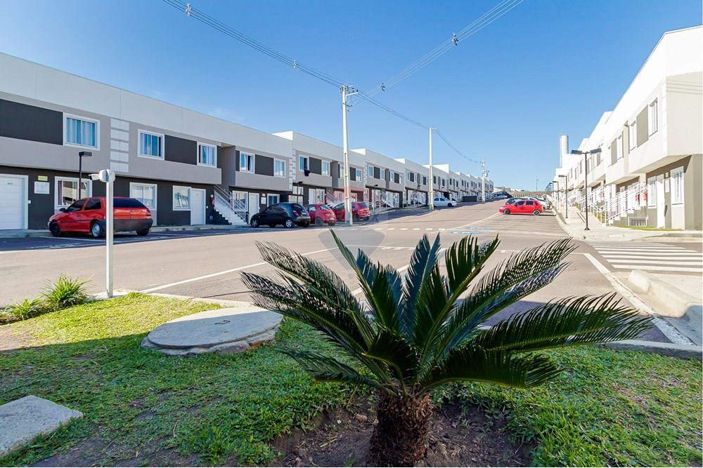 Apartamento - Alugar - Araucária , Paraná - IMG_8140.jpg - 560411056-10