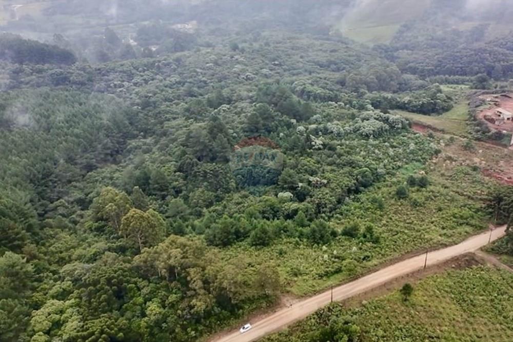 Chácara / Sítio / Fazenda - Venda - Bocaiúva do Sul , Paraná - 602a9180-4953-4d44-96f8-26b752fac5c9.jpg - 560321139-4