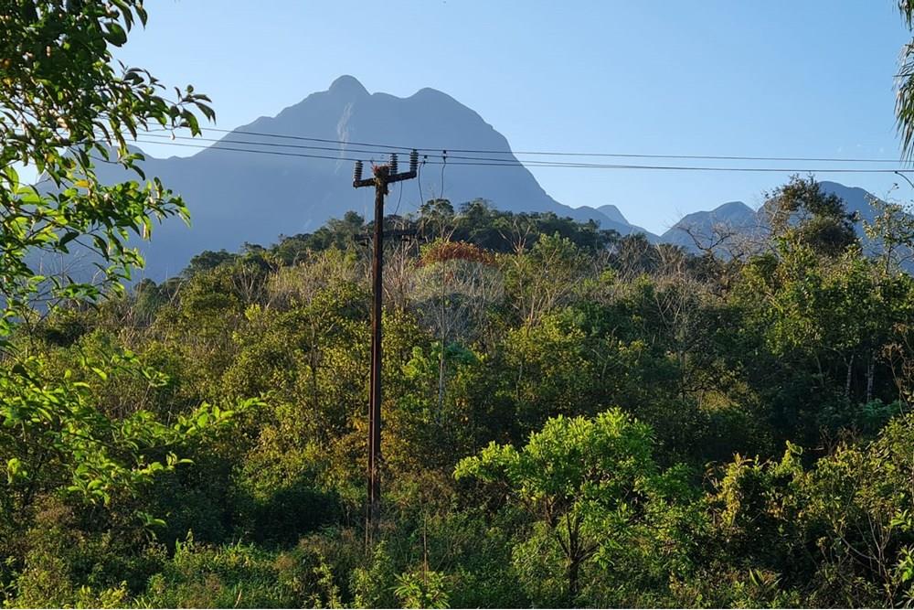 Chácara / Sítio / Fazenda - Venda - Antonina , Paraná - 7ed02264-46fd-4d34-8940-ab8451f906da.jpeg - 560391051-9