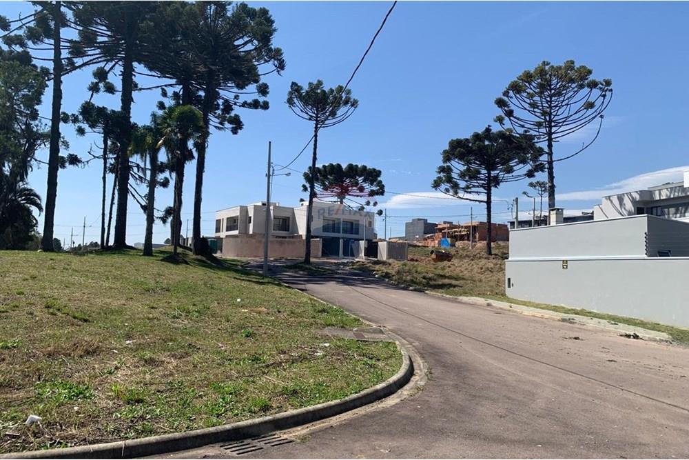 Terreno - Venda - Quatro Barras , Paraná - 33.jpg - 560461019-10