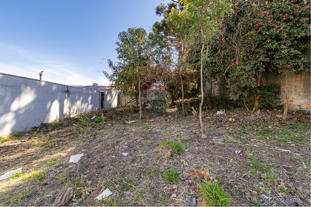 Terreno - Venda - Curitiba , Paraná - IMG_7317.jpg - 560341040-20