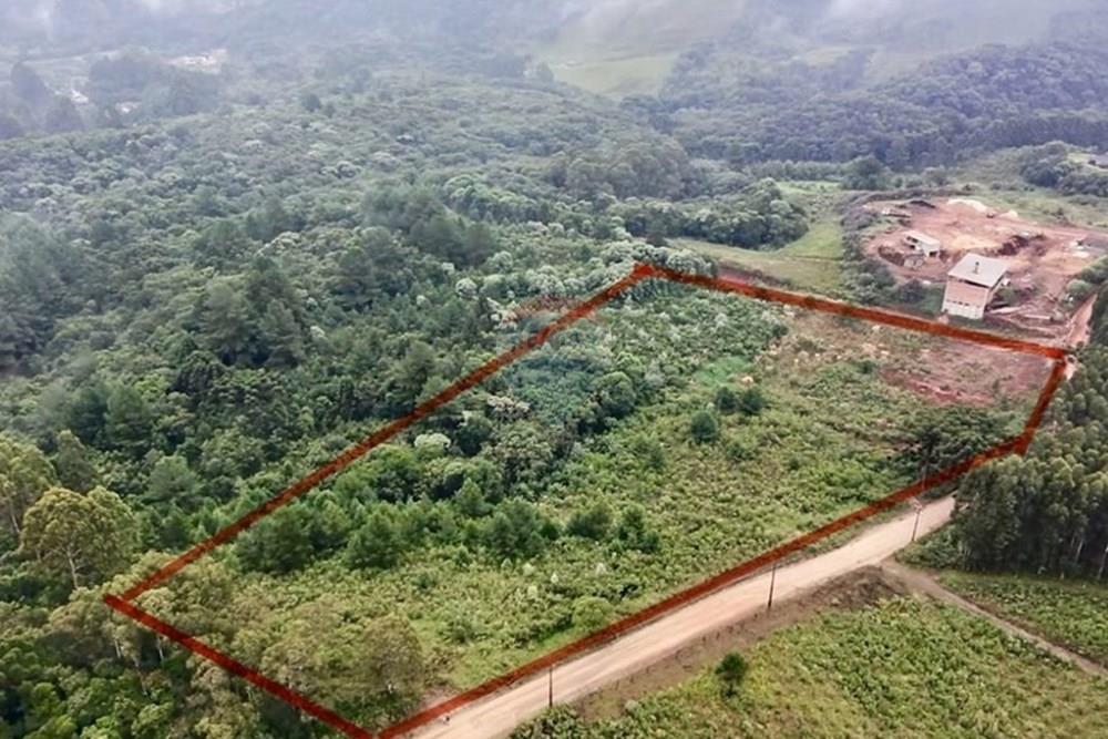 Chácara / Sítio / Fazenda - Venda - Bocaiúva do Sul , Paraná - 7c2af9ec-9b52-42ad-83cd-3c2d69642d81.jpg - 560321139-4