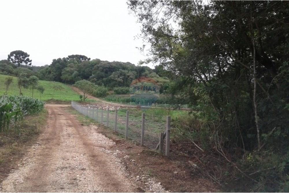 Terreno - Venda - Almirante Tamandaré , Paraná - 4168.jpg - 560351109-21