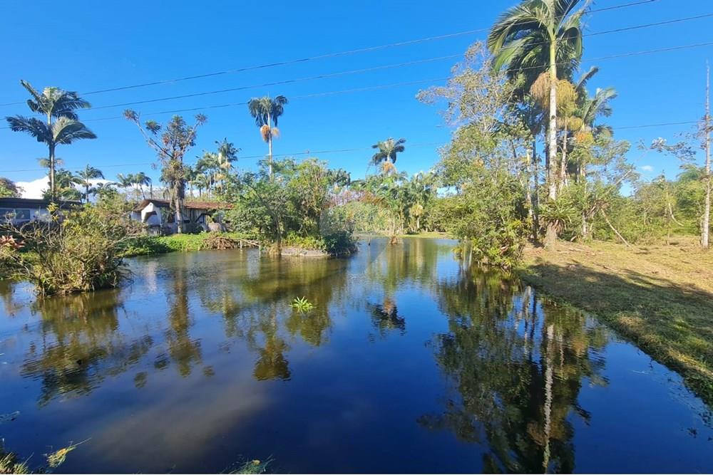 Chácara / Sítio / Fazenda - Venda - Antonina , Paraná - 6a39b2dd-3b0f-4d19-bf90-fad794725ef9.jpeg - 560391051-9