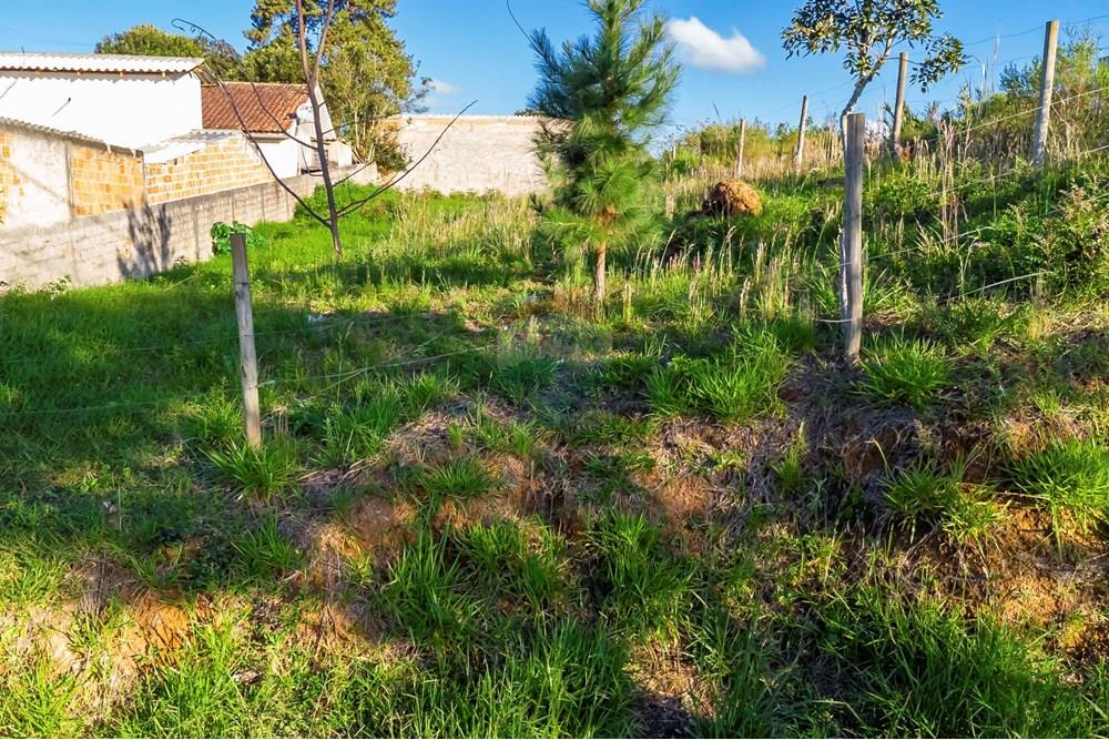 Terreno - Venda - Campo Largo , Paraná - DJI_0753_1.jpg - 560411008-81