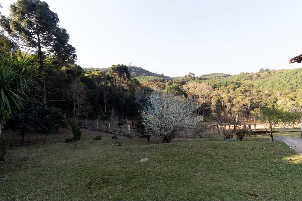 Chácara / Sítio / Fazenda - Venda - Mandirituba , Paraná - IMG_1338.jpg - 560341112-24