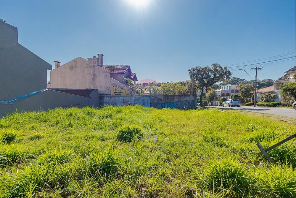 Terreno - Venda - Curitiba , Paraná - IMG_8537.jpg - 560351131-6