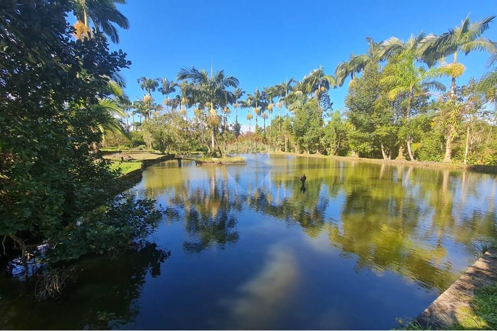 Chácara / Sítio / Fazenda - Venda - Antonina , Paraná - d65982b1-e0f3-43a7-8633-df622dea55eb.jpeg - 560391051-9