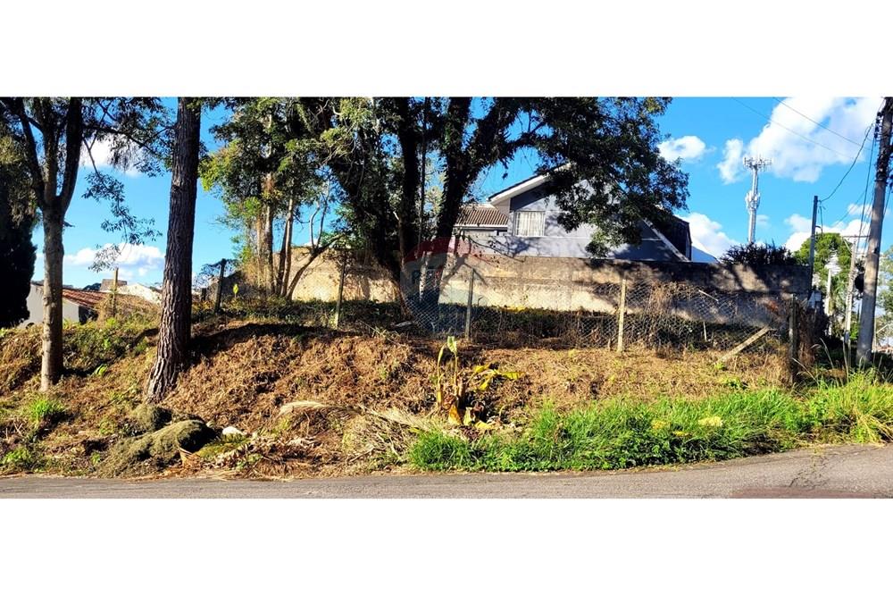 Terreno - Venda - Curitiba , Paraná - foto 3.jpg - 560251041-53