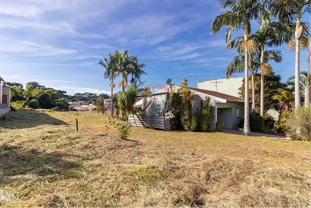 Terreno - Venda - Curitiba , Paraná - TcWA2Msw.jpeg - 560441003-37