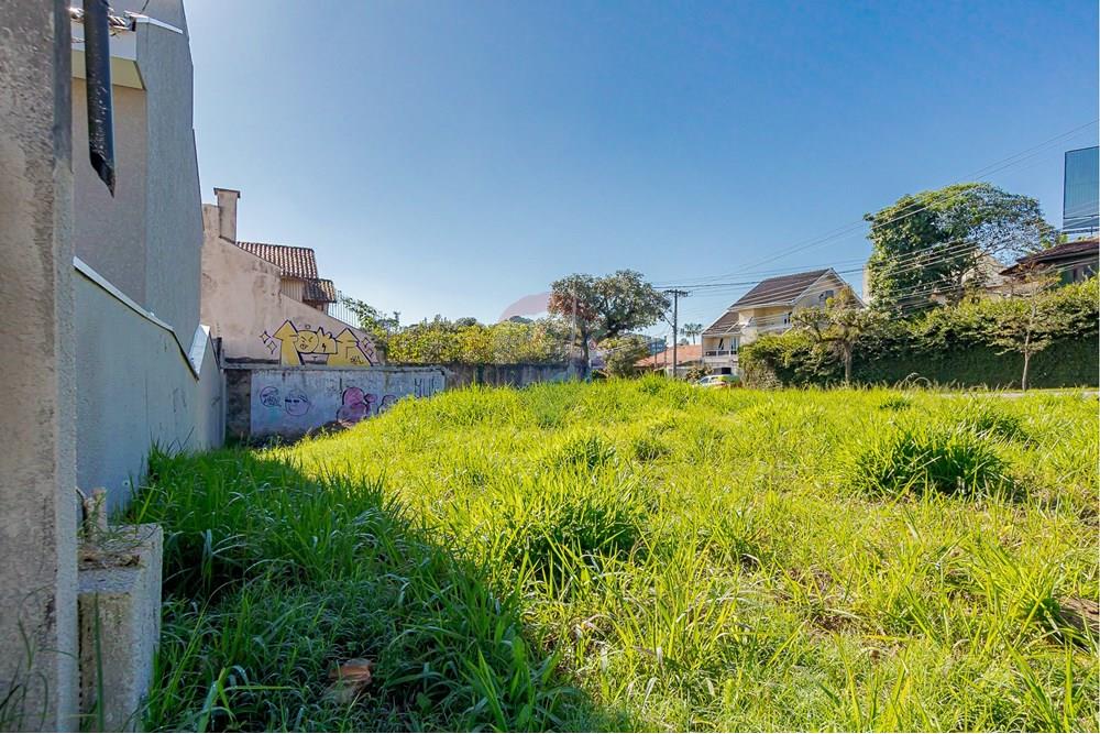 Terreno - Venda - Curitiba , Paraná - IMG_8536.jpg - 560351131-6