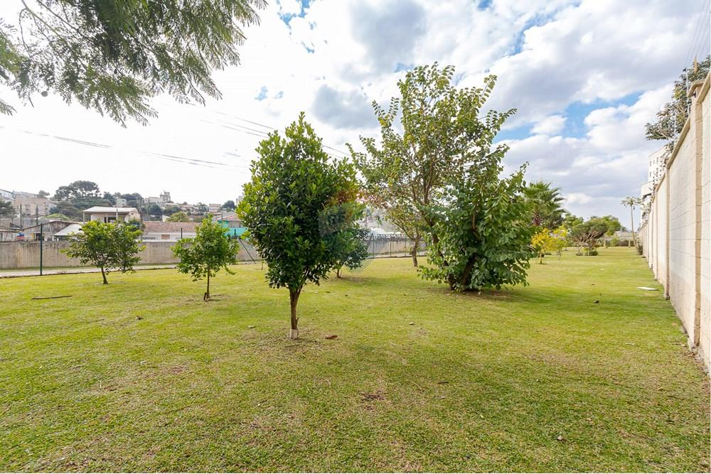 Apartamento - Venda - Curitiba , Paraná - IMG_9020.jpg - 560251041-58