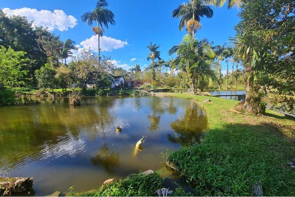 Chácara / Sítio / Fazenda - Venda - Antonina , Paraná - 0b8db74f-95d1-4e5e-9ea3-06c2081cd36e.jpeg - 560391051-9