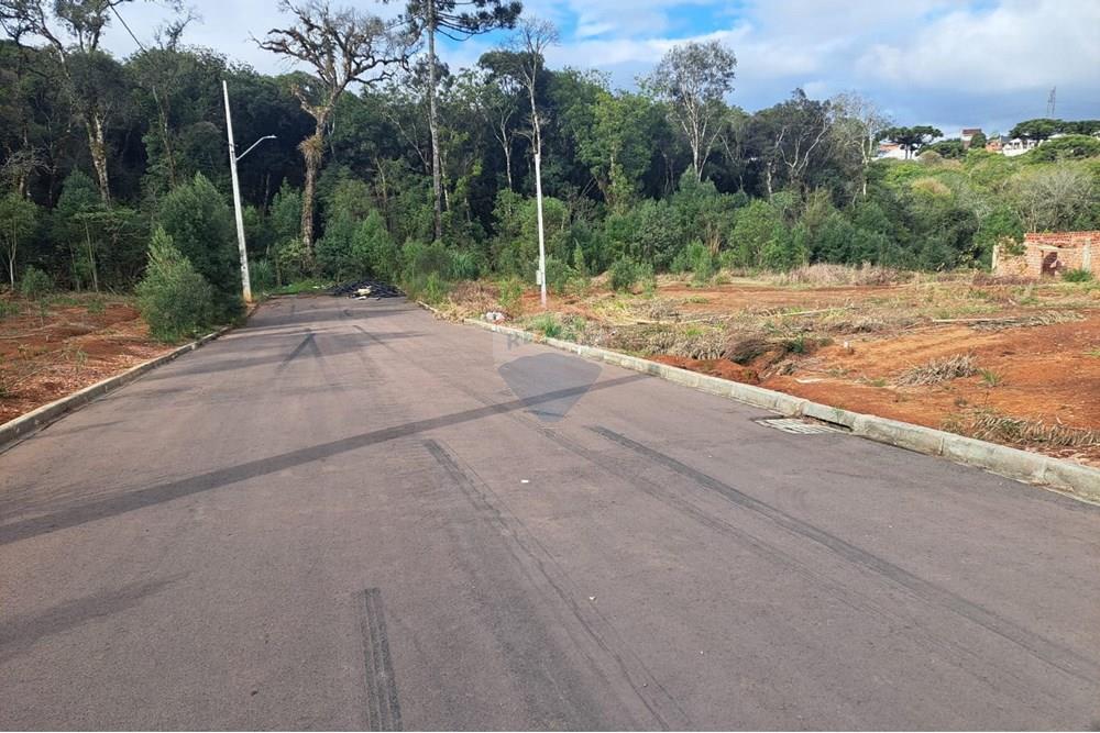 Terreno - Venda - Fazenda Rio Grande , Paraná - WhatsApp Image 2025-08-29 at 19.17.47.jpeg - 560441032-9