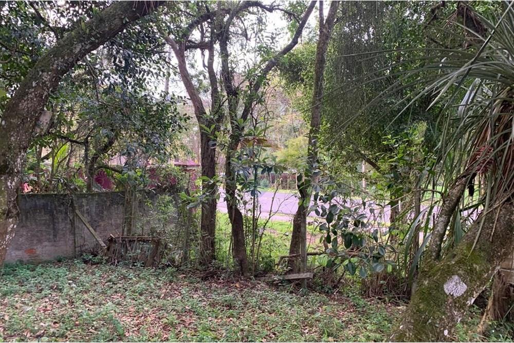 Terreno - Venda - Curitiba , Paraná - 10.jpg - 560461019-13
