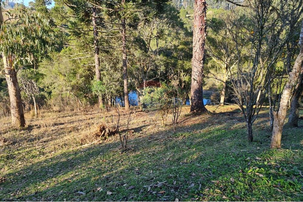 Chácara / Sítio / Fazenda - Venda - Mandirituba , Paraná - ca13625d-561d-48da-8fe1-e8bfc8c25313.jpeg - 560391051-7