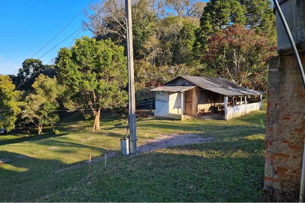 Chácara / Sítio / Fazenda - Venda - Mandirituba , Paraná - e8e31e55-e038-4f5e-b5f0-d957aa9be2e9.jpeg - 560391051-7