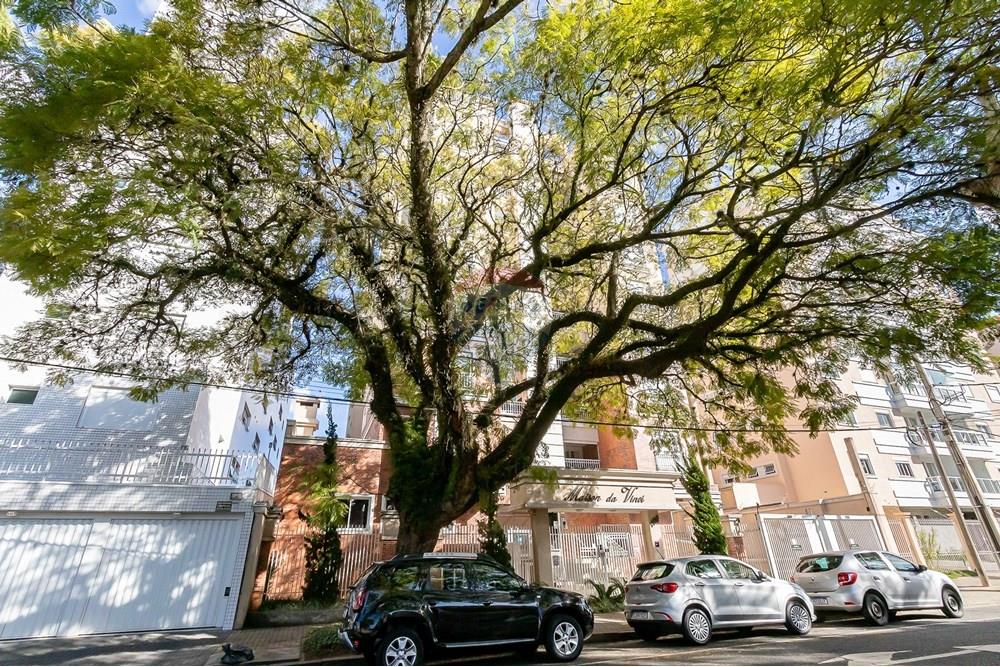 Apartamento - Venda - Curitiba , Paraná - IMG_4706.jpg - 560301005-48