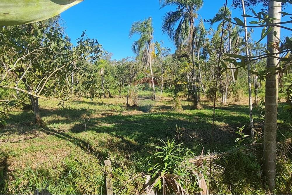Chácara / Sítio / Fazenda - Venda - Antonina , Paraná - 4bea06f9-0cab-4109-897e-915a4a9e6a95.jpeg - 560391051-9