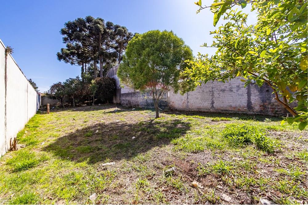 Terreno - Venda - Curitiba , Paraná - IMG_7310.jpg - 560341040-20