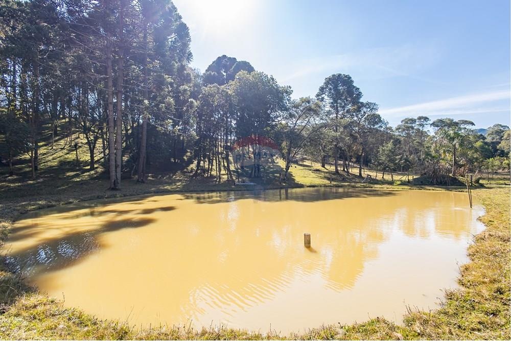 Chácara / Sítio / Fazenda - Venda - Campo Largo , Paraná - F (37).jpg - 560351150-1