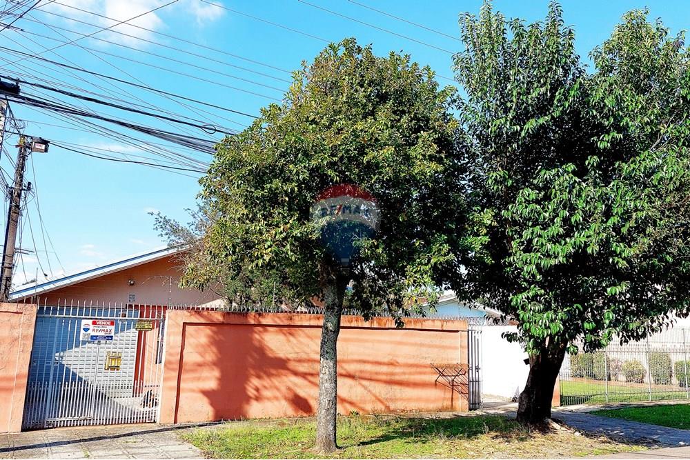 Terreno - Venda - Curitiba , Paraná - A IMG_3000 Cel (13).jpg - 560351146-4