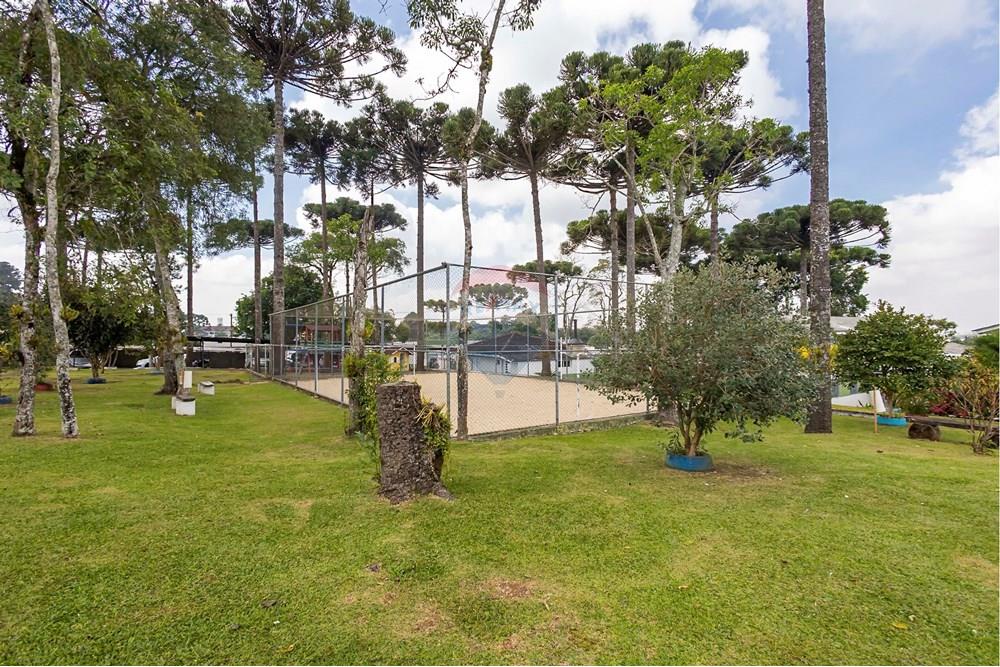 Apartamento - Venda - Curitiba , Paraná - IMG_4215_1.jpg - 560311063-10