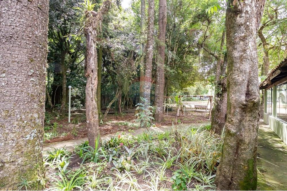 Apartamento - Alugar - Curitiba , Paraná - WhatsApp Image 2025-08-01 at 12.26.36.jpeg - 560441028-4