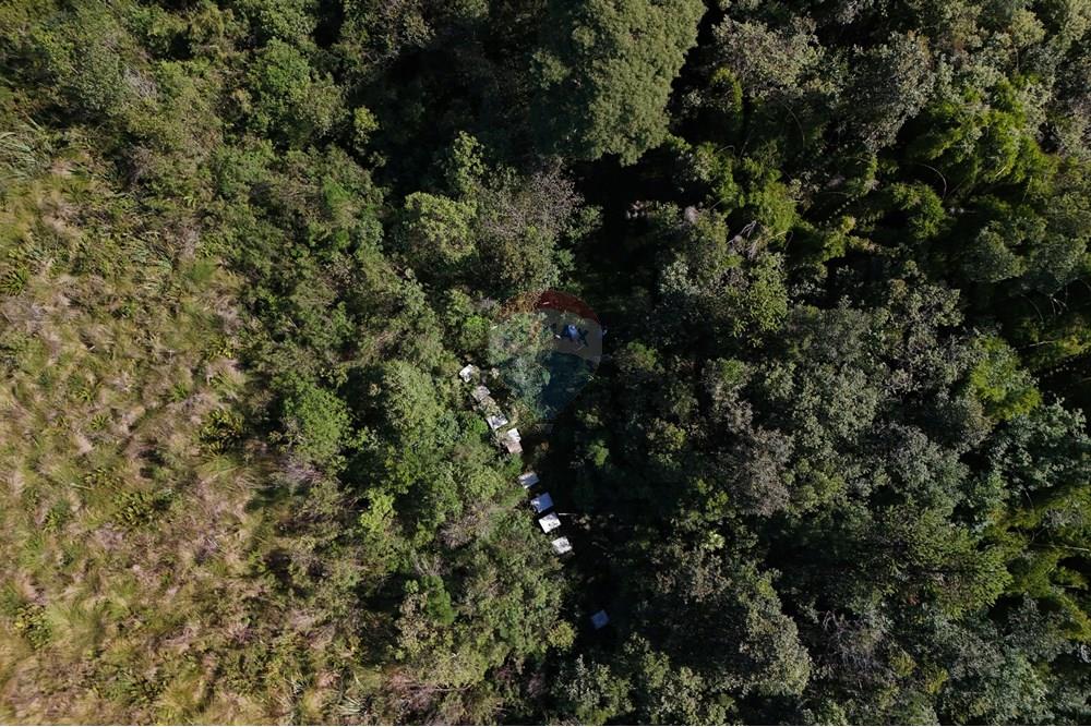 Terreno - Venda - Calmon , Santa Catarina - Caixa Abelhas 2.JPG - 560351109-12