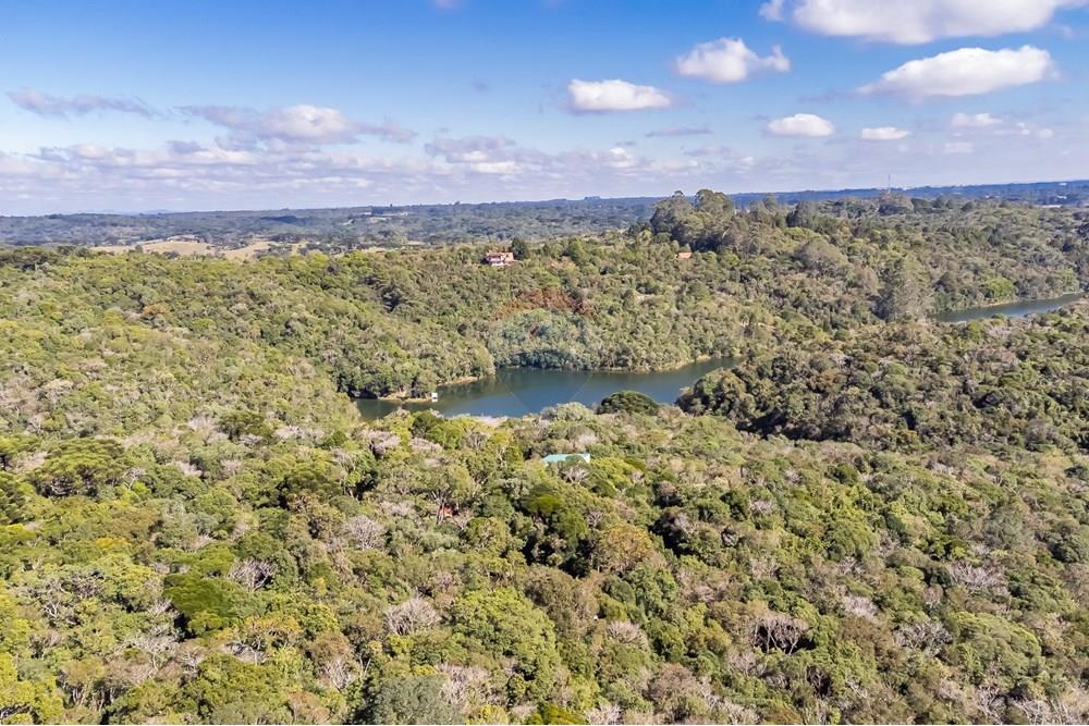 Chácara / Sítio / Fazenda - Venda - Piraquara , Paraná - DJI_0498_1.jpg - 560431012-39