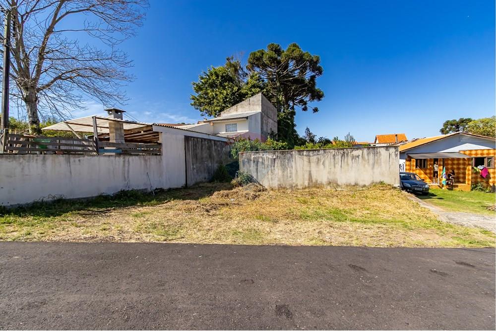 Terreno - Venda - Curitiba , Paraná - IMG_7345.jpg - 560341040-21