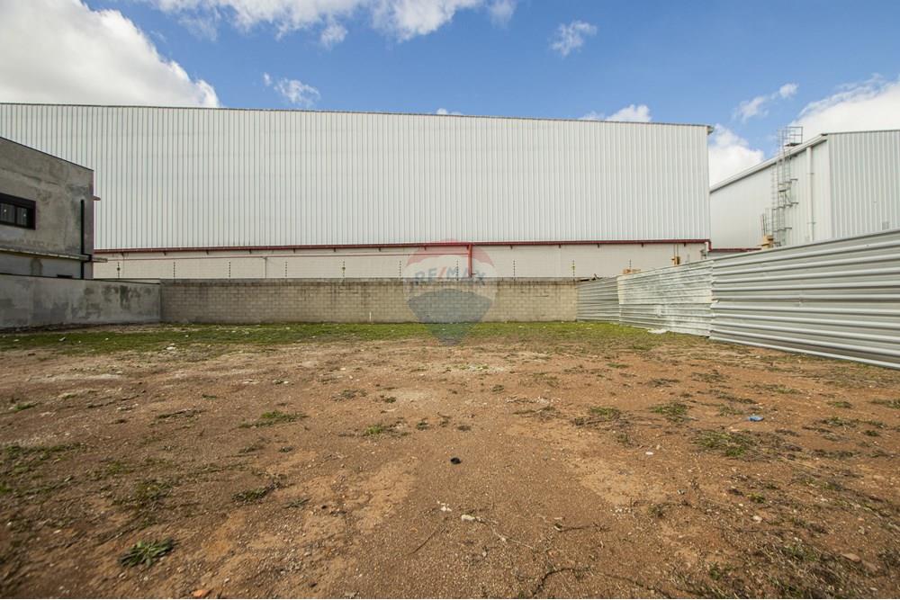 Terreno - Venda - São José dos Pinhais , Paraná - IMG_0281.jpg - 560411070-66