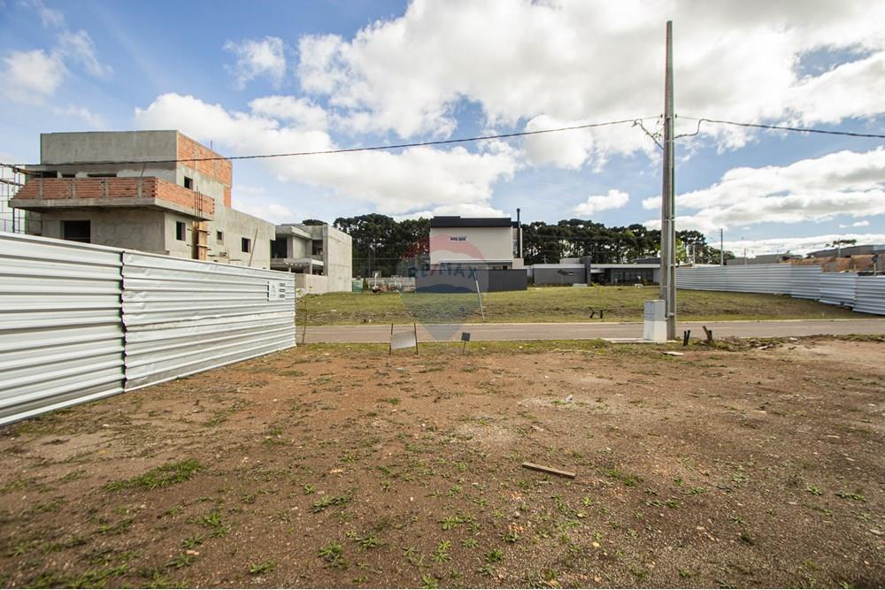 Terreno - Venda - São José dos Pinhais , Paraná - IMG_0276.jpg - 560411070-66