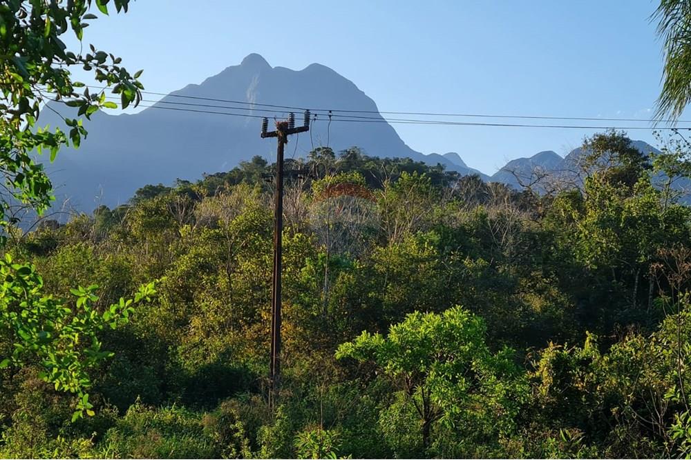 Chácara / Sítio / Fazenda - Venda - Antonina , Paraná - e0bd95f4-0e72-4416-bb08-7a4c9b34c6fa.jpeg - 560391051-9