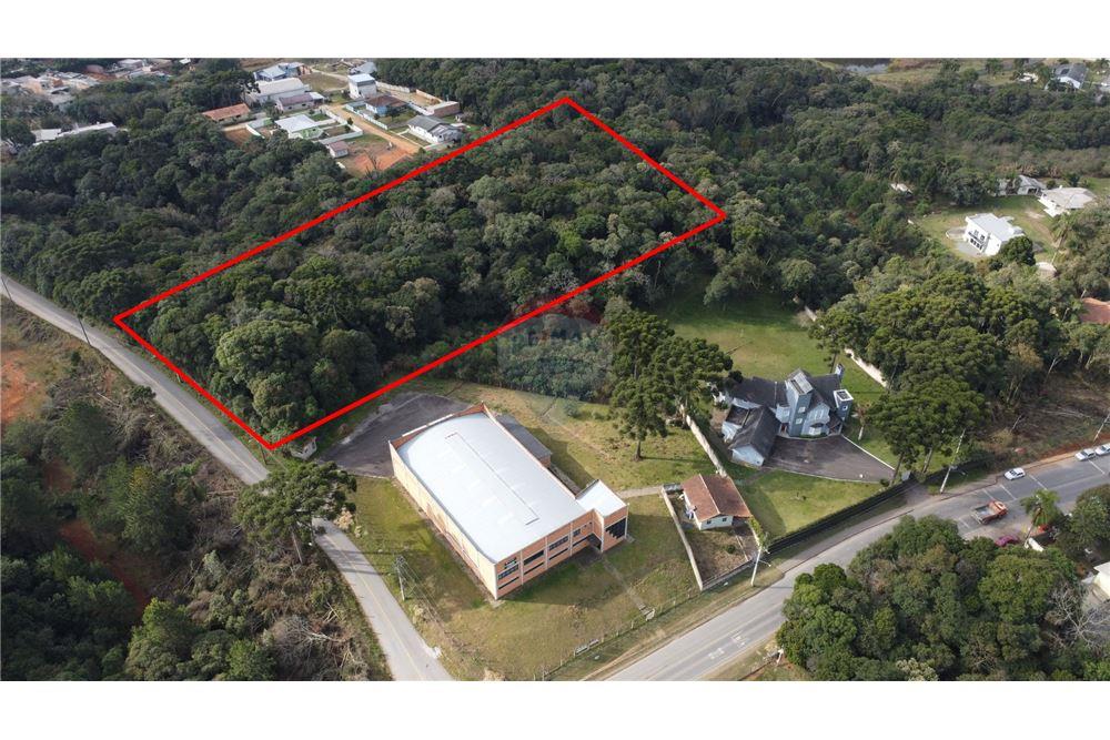 Terreno - Venda - São José dos Pinhais , Paraná - 3 - 560341114-47