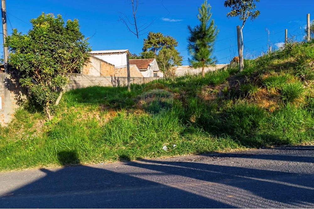 Terreno - Venda - Campo Largo , Paraná - DJI_0750_1.jpg - 560411008-81